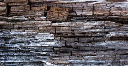 Old wooden background or texture. high quality photoの写真素材