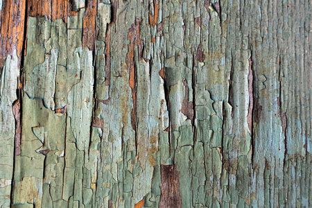 Old green wooden wall with cracked paint, background texture. High quality photo. high quality photoの写真素材