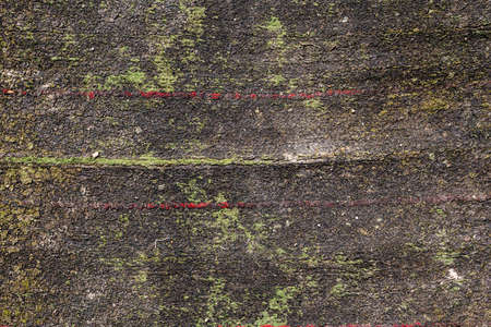 background texture. old carpet. Abstract background with space. high quality photoの写真素材