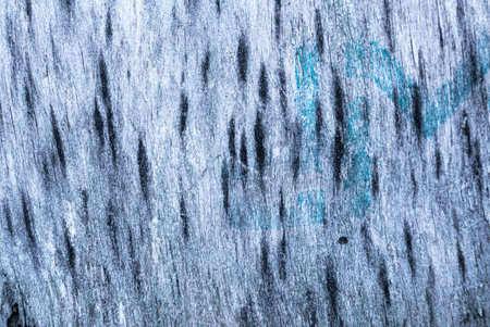 vintage background texture. old wood panels. high quality photoの写真素材