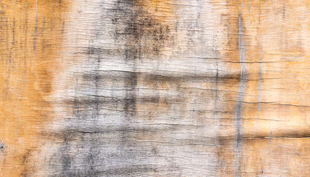 Old wooden background or texture. high quality photoの写真素材