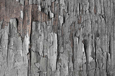 vertical wooden board, fence texture, old paint, cracks High quality photoの写真素材