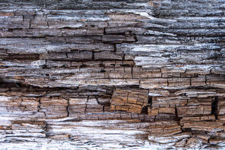 Old wooden background or texture. high quality photoの写真素材