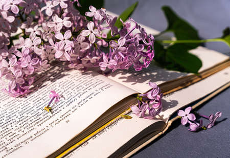 A beautiful lilac flower over an open book. Book and flowers. Poetry and romance. Flowers with books. Lilac and book. high quality photoの写真素材