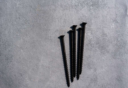 Black metal screws on gray isolate. Many screws on a gray background. high quality photoの写真素材
