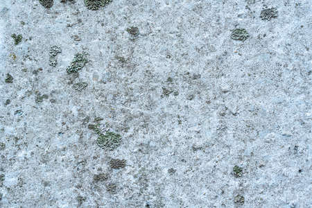 old concrete wall. Ideal for textures and backgrounds. high quality photoの写真素材