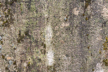 old concrete wall. Ideal for textures and backgrounds. high quality photoの写真素材
