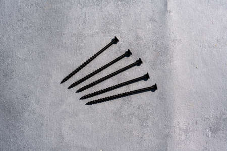 Black metal screws on gray isolate. Many screws on a gray background. high quality photoの写真素材