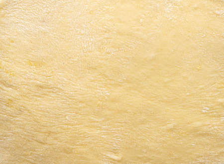 Texture of evenly rolled dough.Background of the dough for baking. high quality photoの写真素材