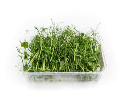 Microgreens pea isolated on white background. Fresh micro greens pea sprouts. high quality photoの写真素材