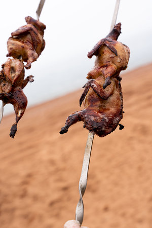 quail on skewers against the backdrop of the sea. Shashlik. high quality photoの写真素材