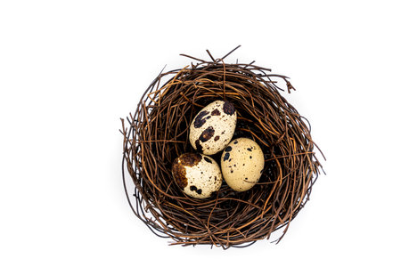 Uncooked scattered Quail eggs on white background top view, healthy food concept. high quality photoの写真素材