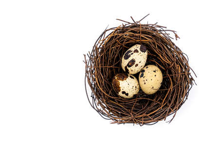 Uncooked scattered Quail eggs on white background top view, healthy food concept. high quality photoの写真素材