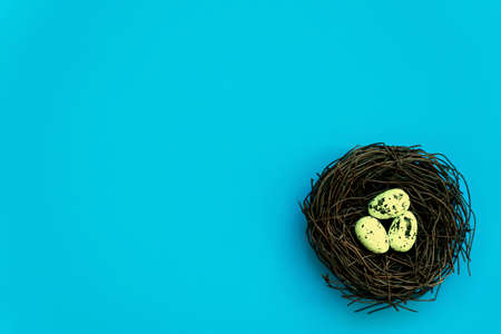 Easter eggs in a nest on an isolated background. high quality photoの写真素材