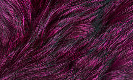 Animal fur texture of wolf or fox extreme closeup.の写真素材