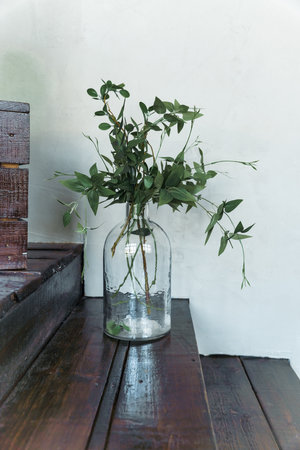 Green vase with leaves near gray wall. high quality photoの写真素材