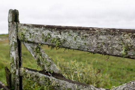 Gate at the entrance of a rural establishment. Green fields in out-of-focus backgroundの写真素材