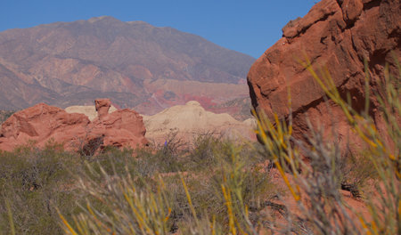Landscape of Salta.Used for promotions and advertisements for travel and tourism agencies....