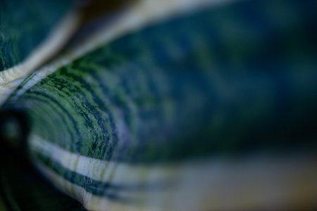 Inspiring, eco-friendly teal tone. Horizontal shot.Selective focus. Blue-green tones reflect nature in eco-conscious design campaigns with a creative style.の写真素材