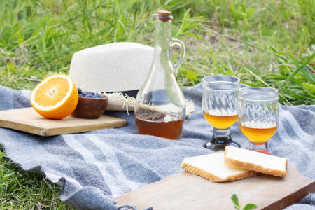 Outdoor picnic set on a checkered blanket in green grass featuring fresh orange and blueberries, bread slices, a bottle with beverage, and two glasses for a relaxing leisure momentの写真素材
