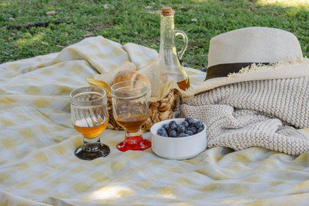 Outdoor picnic setup on a checkered blanket with fresh blueberries, bread, wine glasses, an apple juice bottle, and a straw hat, celebrating summer leisure and healthy eating in natureの写真素材