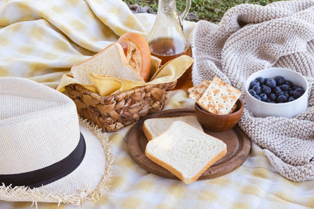 Picnic spread on a checkered blanket in green grass featuring a basket of bread, cracker bowl, fresh blueberries, a glass pitcher, and a straw hat, illustrating a relaxing outdoor momentの写真素材