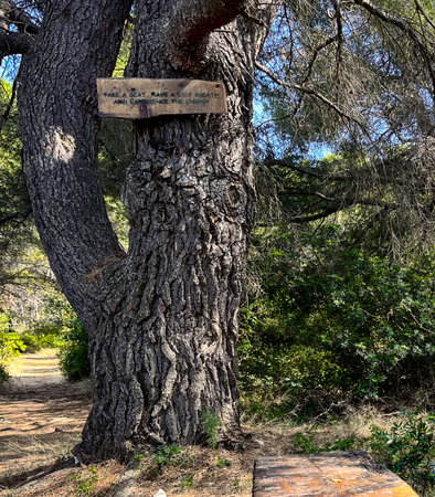 Mediterranean pine tree displaying a hand carved wooden sign encouraging mindfulness and connection with nature, alongside a rustic wooden bench on a tranquil island path in Croatiaの写真素材