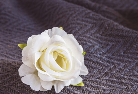 White rose flower with delicate fabric petals,on a textured grey background A delicate and elegant...