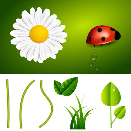 Fresh Spring and Summer Nature Elementsのイラスト素材