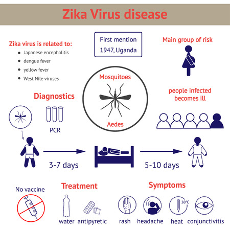 Zika virus  disease - information about symptoms, treatment, clinical course of illnessのイラスト素材