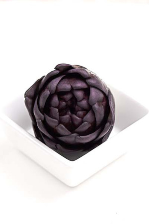 Artichokeの写真素材