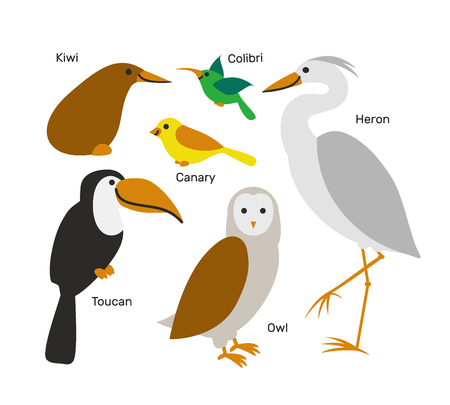 Cute cartoon bird set isolated on white background. Art vector illustration.のイラスト素材