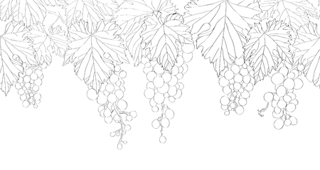Seamless pattern with hand drawn bunch of grapes vectorのイラスト素材