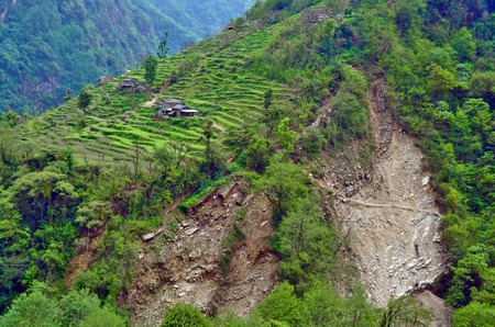 Agriculture terraces field mountain green nature village landscape in Nepal, Annapurna national park.の写真素材