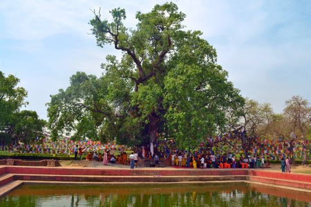 Lumbini, Nepal - birthplace of Buddha Siddhartha Gautama. Parying under Bodhi tree a place of Buddha enlightenment 4 May 2017の写真素材