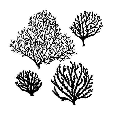 Set of Sea reef corals black silhouette isolated on white background. Art vector illustrationのイラスト素材