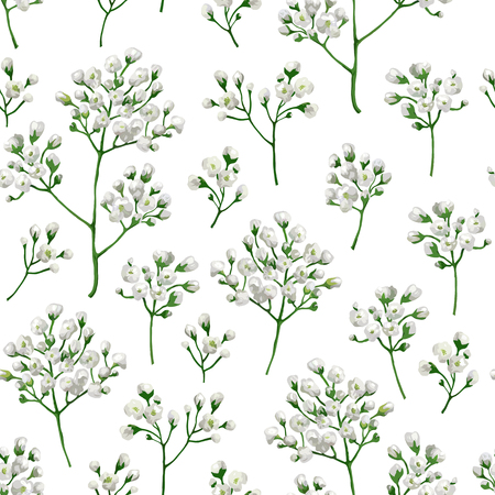 Seamless pattern with gypsophila flowers in watercolor style isolated on white background. Art vector illustrationのイラスト素材