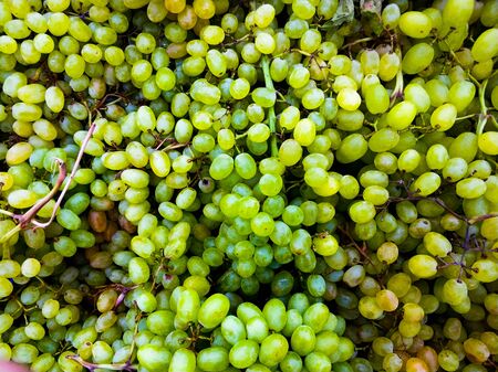 Background of ripe green grapes in the market. Autumn harvesting. Ripe fruits on the counter.