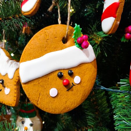 Gingerbread cookie in the form of a kolobok with icing hanging on a Christmas tree. Christmas tree...