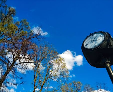 Tree branches with young leaves, watch in front of a blue sky with white clouds.の写真素材