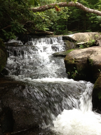 Crab tree falls の素材