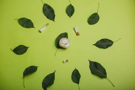 Eco cosmetics. A jar of white cream and the leaves of the tree on a green background. Skin care.の写真素材