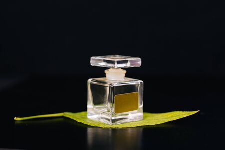 Glass bottle with perfume on a black background. Green leaf.の写真素材