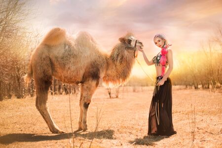 Beautiful girl with multi-colored braids in oriental clothes. Princess with a camel at sunset.の写真素材