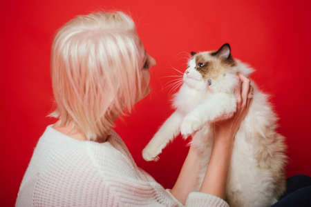Young woman hugs a ragdoll cat on a red background. Love to the animals. Studio photoの写真素材