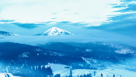 Beautiful winter landscape with snow covered treesの写真素材
