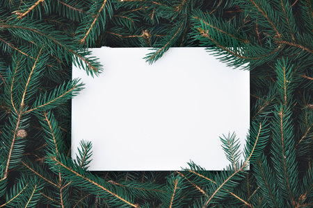 Christmas composition made of Christmas tree branches with paper card note.の写真素材