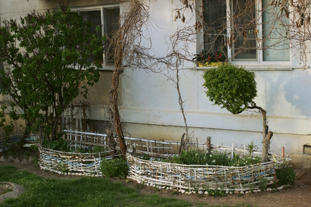 A small garden among large high-rise buildings.の写真素材