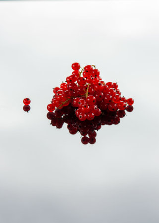 red currant on a glass background with a reflection of the skyの写真素材