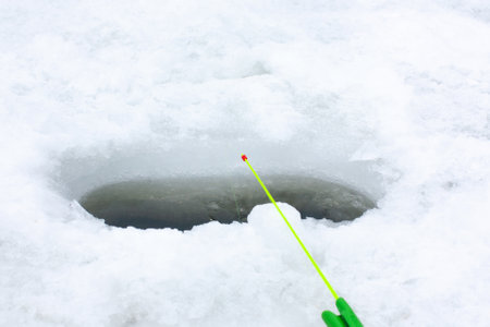 Catfish on the ice. Catfish on the snow.の写真素材
